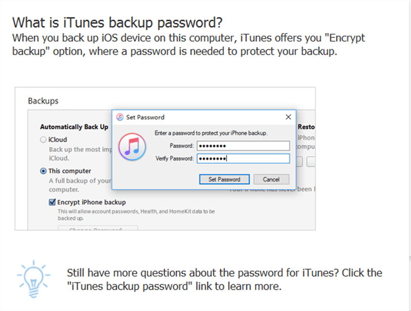 Setting Backup Password to Protect iPhone Backup
