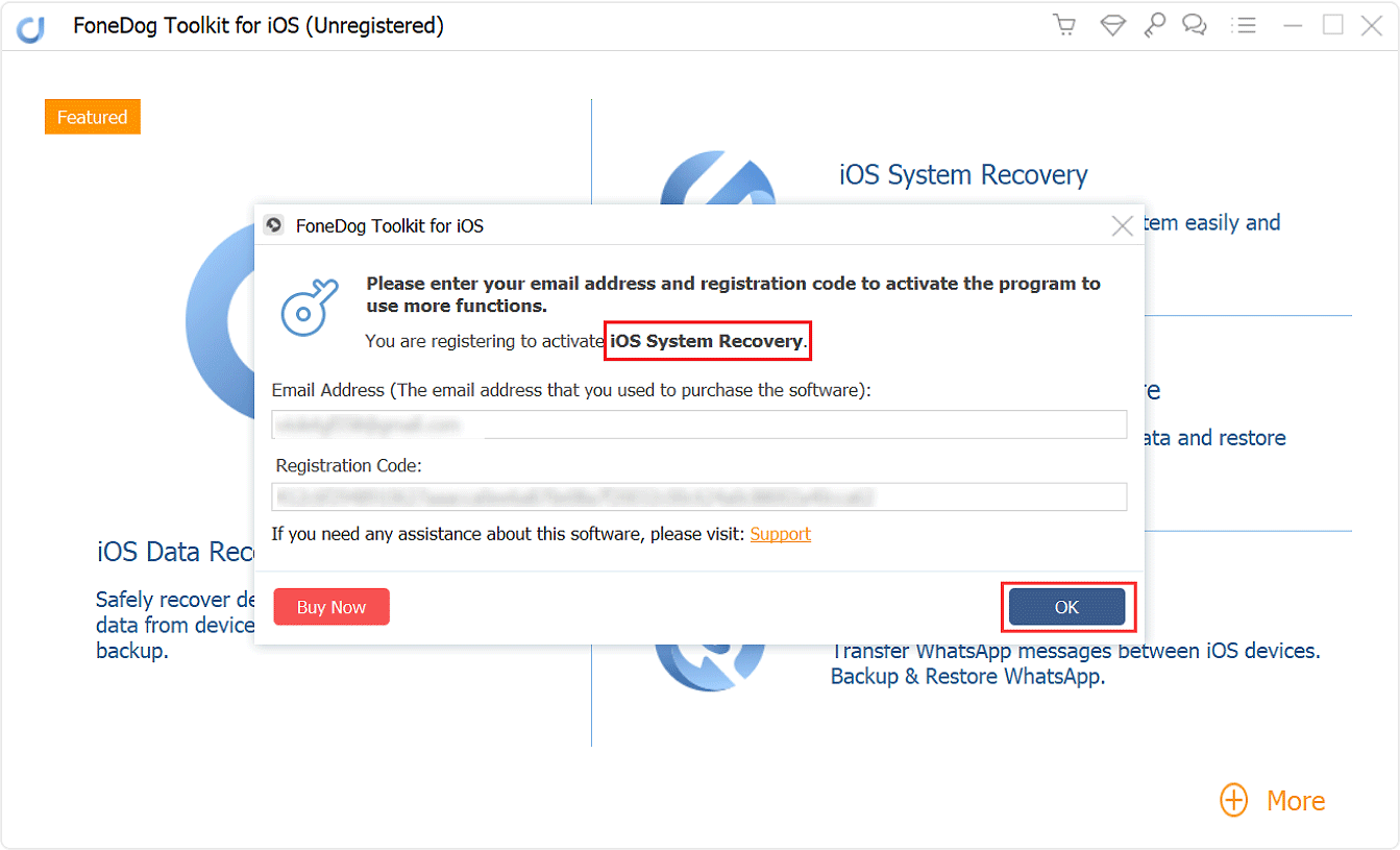 Preencha o endereço de e-mail e o código de registro