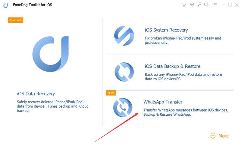 FoneDog WhatsApp 전송