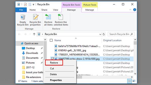 Recover Deleted Files Using the Recycle Bin