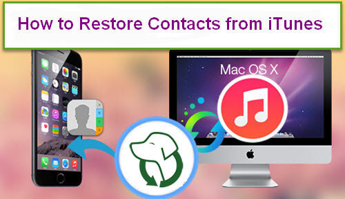 Restore Contacts From Itunes