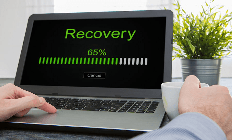 Reviews about Fields Data Recovery