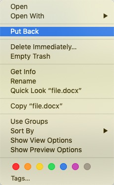 Do Data Recovery on Mac via the Trash Bin