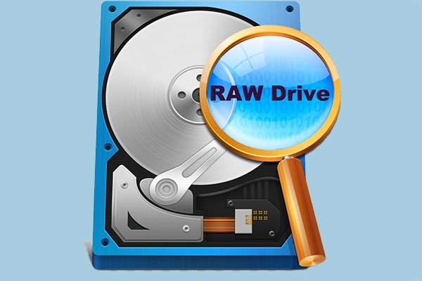 RAW Drive Recovery Software: Zero Assumption Recovery