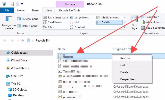 Recover Deleted Downloads From Recycle Bin