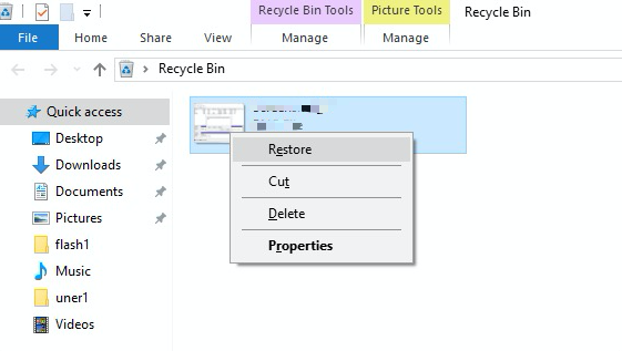 Recover PDF From Recycle Bin