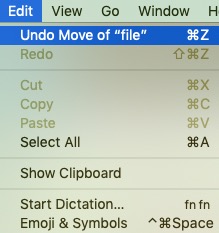 Use the Undo Options to Restore a File
