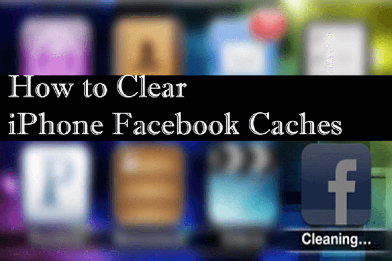 Facebook-Cache Iphone