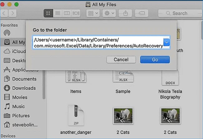 Hämta filer med Excel-återställningsfilens plats på Mac