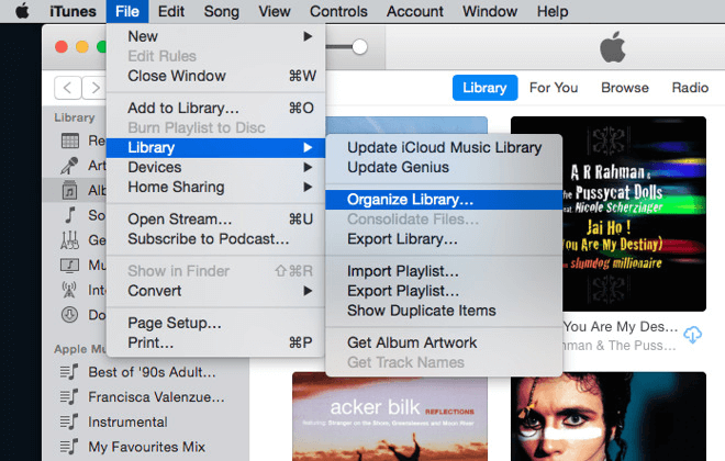 iTunes 보관함을 선택하여 iTunes 보관함을 새로운 Mac으로 전송