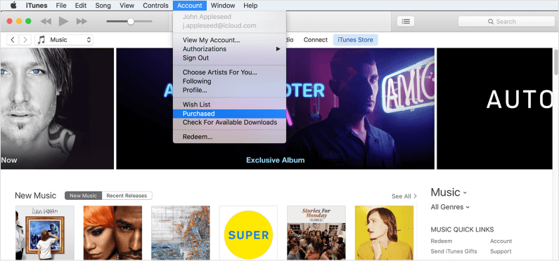 Downloading Purchased Music on Computer Using Apple ID