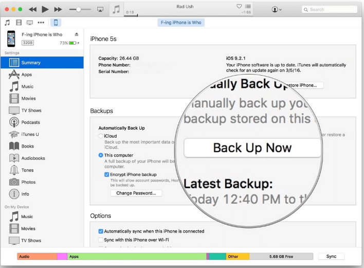 Backup Text Messages on iPhone through iTunes