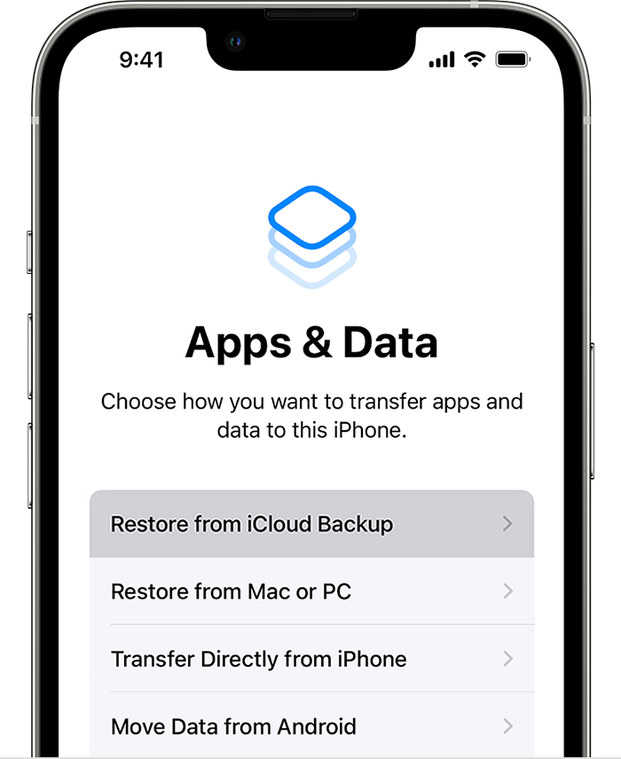 Recover Deleted Notes Using iCloud Backup