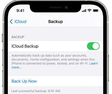 Restore Using Your iCloud Data and Overwrite The Current Photos
