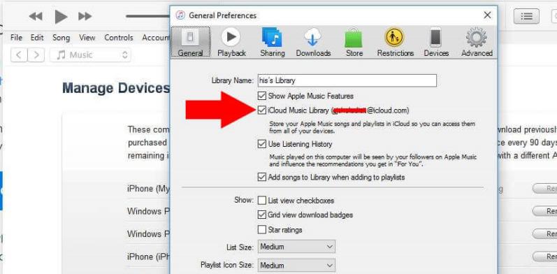 Ways to Sync Songs on the iPod - Turn on Sync Music Library on Windows