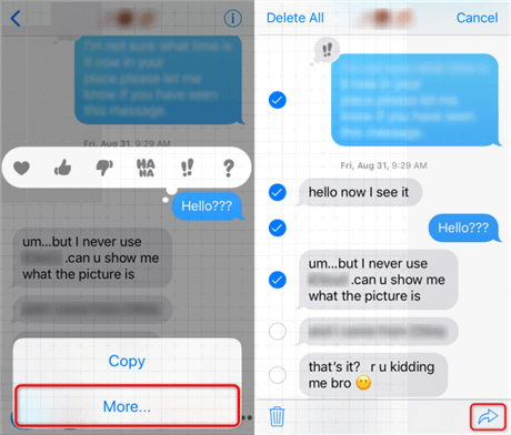 Copie e cole o iMessage no e-mail