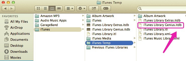 Delete the Genius Database to Fix iTunes Error 13010
