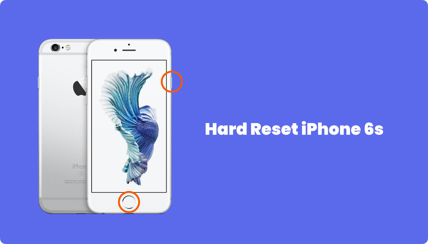 Iphone White Screen: What It Is And How To Fix It