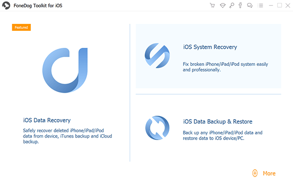 Choose iOS System Recovery