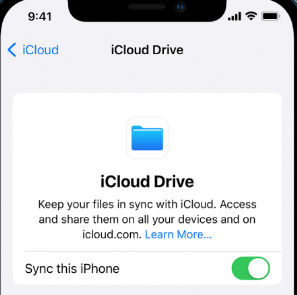 Turn on iCloud Drive Backup Settings