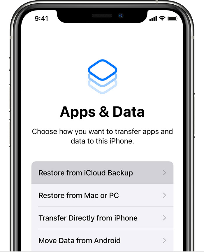 Restore iCloud Backup to Fix iPhone Deleted Notes By Itself