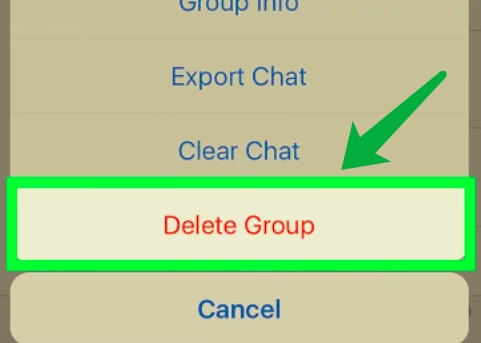 Excluir um bate-papo em grupo do WhatsApp do iPhone
