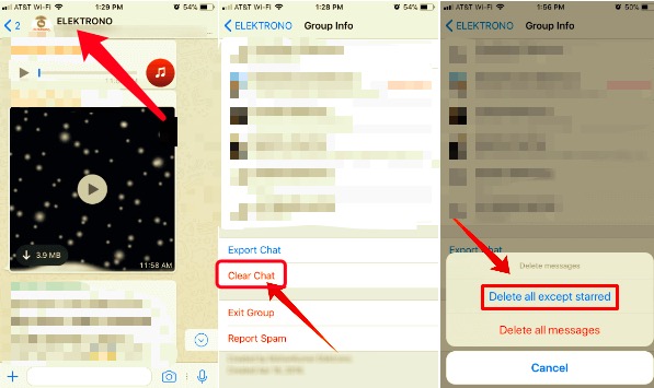Excluir dados do WhatsApp usando uma janela de bate-papo no iPhone