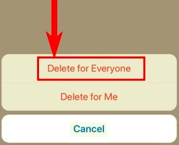 Delete WhatsApp Messages on Your iPhone