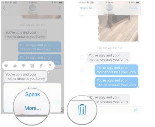 Delete Specific Texts on iOS
