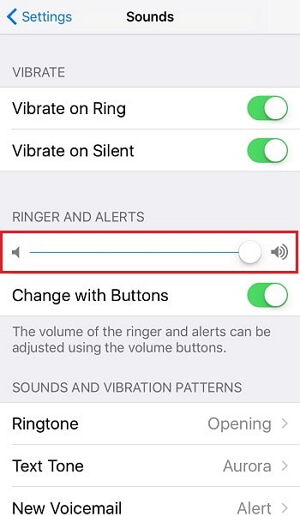 adjust iPhone volume