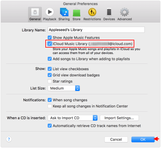 Enabled iCloud Music Library