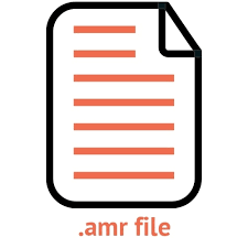 What Is AMR Format