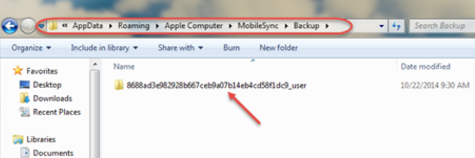 Transfer iPhone Backup to Backup Folder