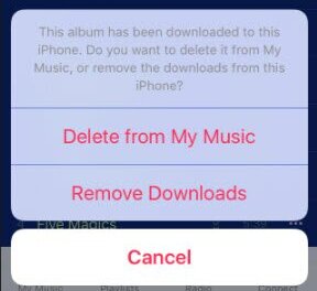 Excluir músicas do iTunes