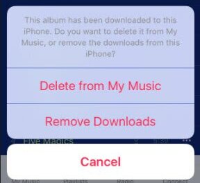 Delete Songs from iTunes