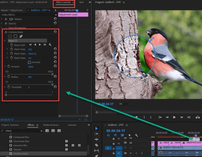 Improve Video Resolution Using Adobe Premiere Pro