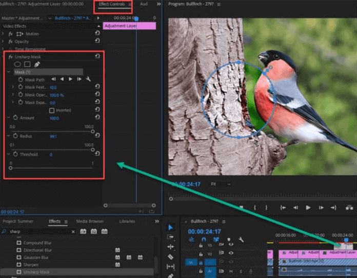 Adobe Premiere Pro를 사용하여 비디오 해상도 향상