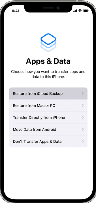 Restore from iCloud Backup