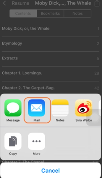 How to Transfer Books from iPhone to Computer through Email
