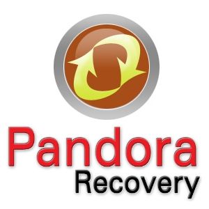 Best Partition Recovery Pandora
