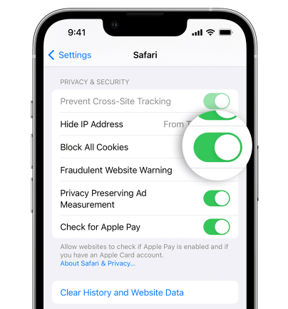 Block The Cookies in Safari to Fix Website Data Not Working