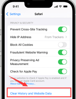 Deleting Cache Of Your Safari App to Delete Large Other Storage On iOS