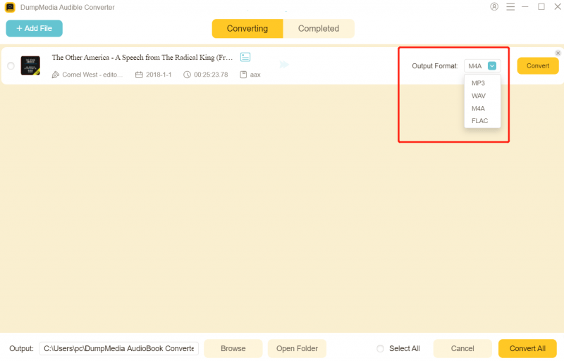 Converter AAX para MP3: DumpMedia Audible Converter - Configurações de saída