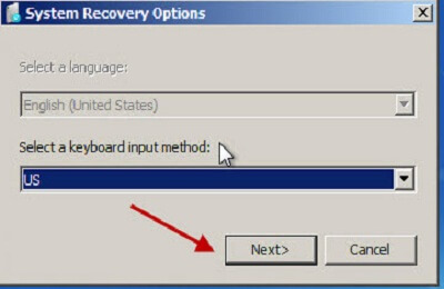 System Recovery Options