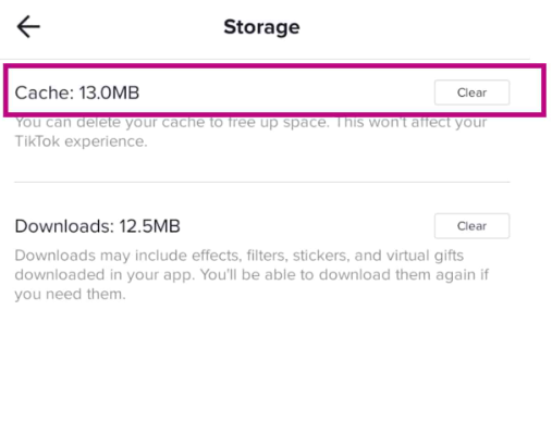 Deleting TikTok Cache on iOS Devices