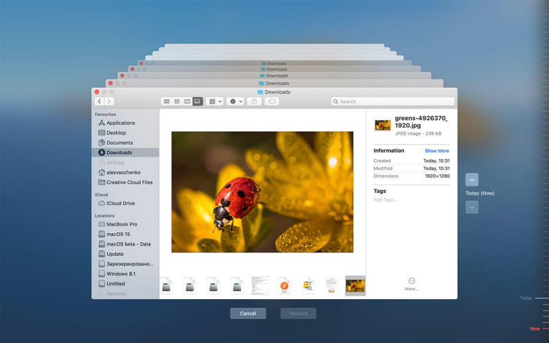 Återställ foton från SD-kort i Mac med Time Machine
