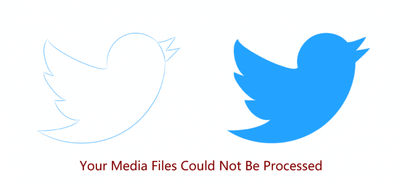 Twitter Your media file could not be processed