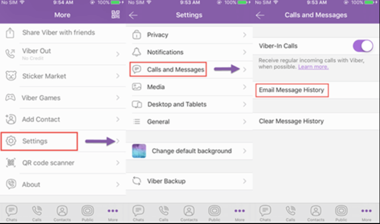 Viber를 사용하여 iPhone에서 컴퓨터로 Viber 기록 전송