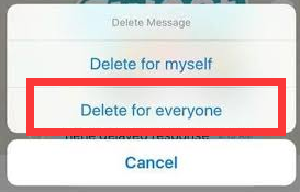 Choose Delete For Everyone to Delete Viber Message History