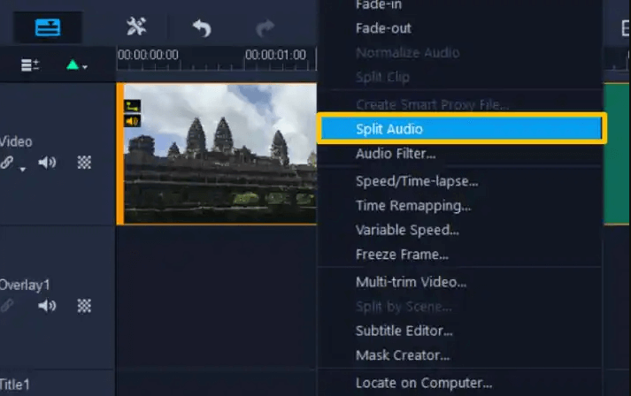 Separate Audio from Video Using VideoStudio